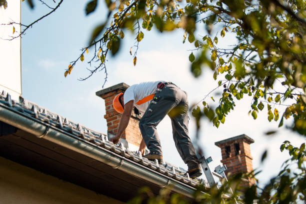 Best Roof Leak Repair  in Hales Corners, WI