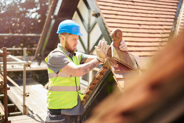 Roof Gutter Cleaning in Hales Corners, WI